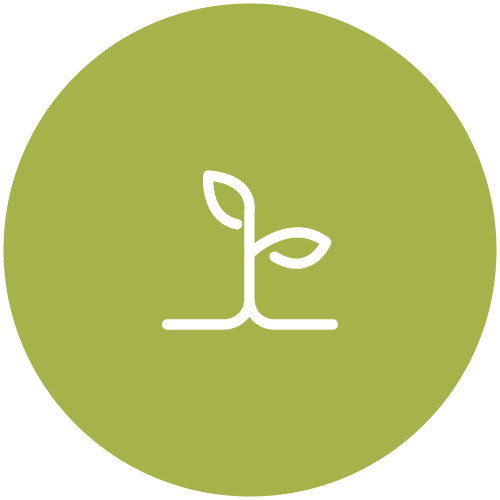 LINEA NUTRICION02